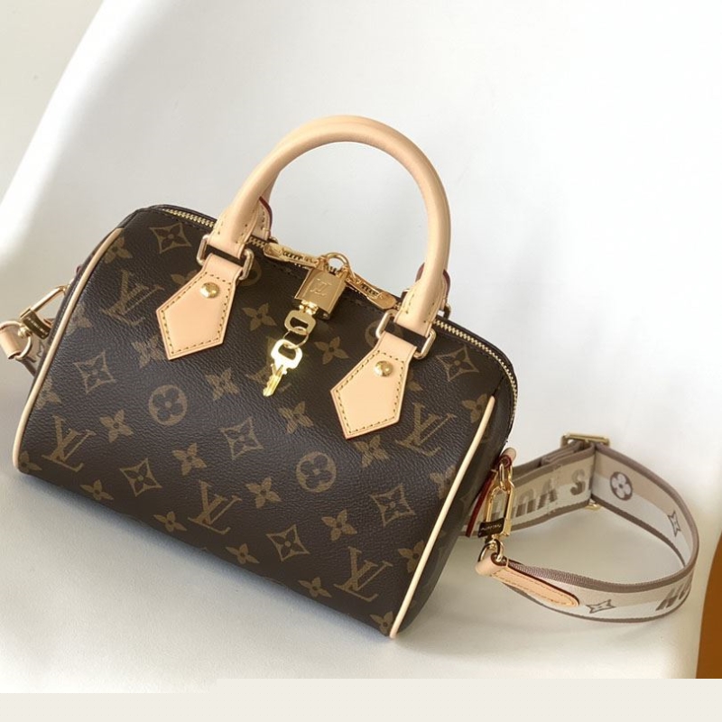 LV Speedy Bags